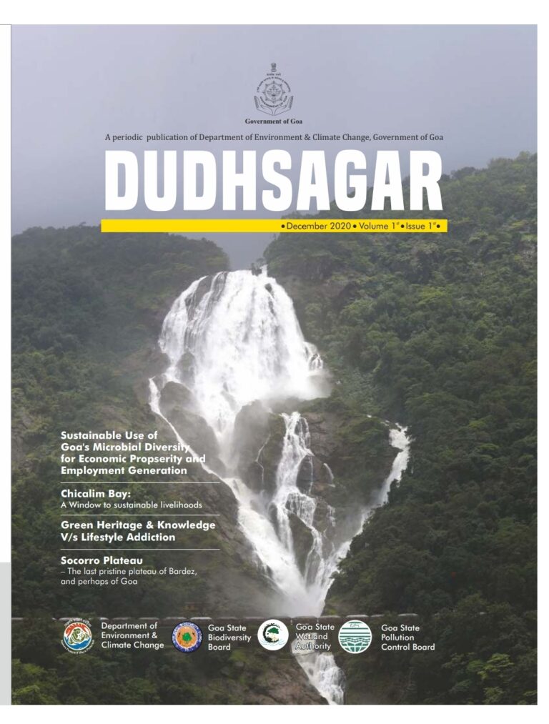 Dudhsagar