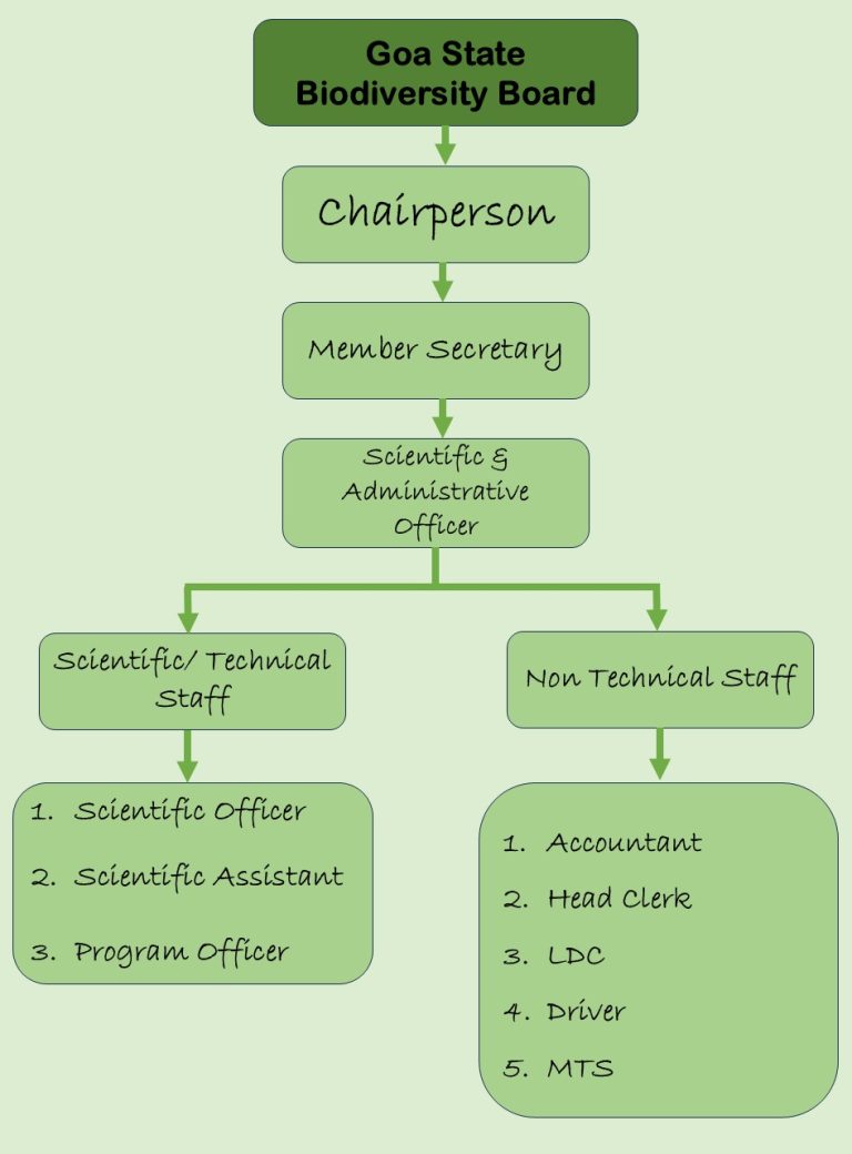Organogram