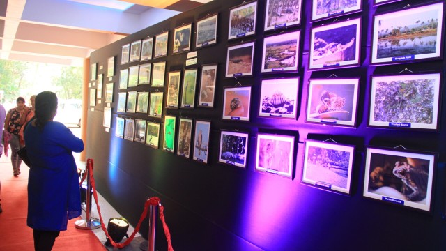 IDB 2017-2018 IDB 2017-2018