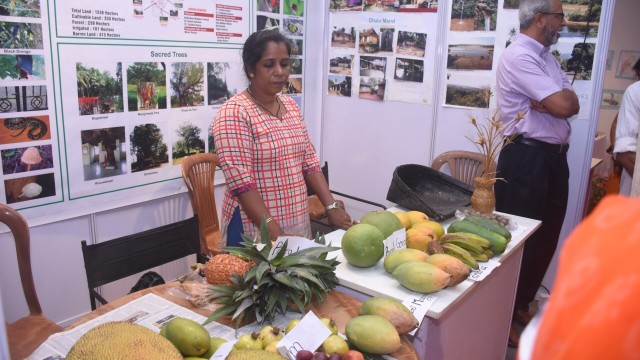 IDB 2018-2019 IDB 2018-2019