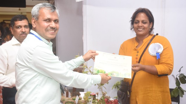 IDB 2018-2019 IDB 2018-2019