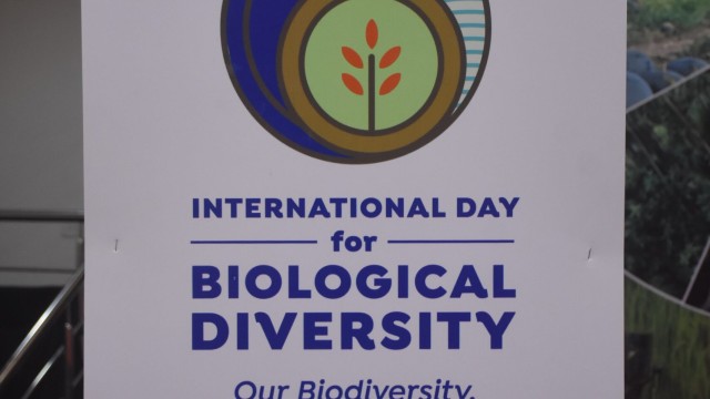 IDB 2019-2020 IDB 2019-2020