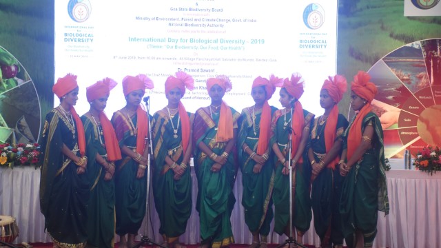 IDB 2019-2020 IDB 2019-2020