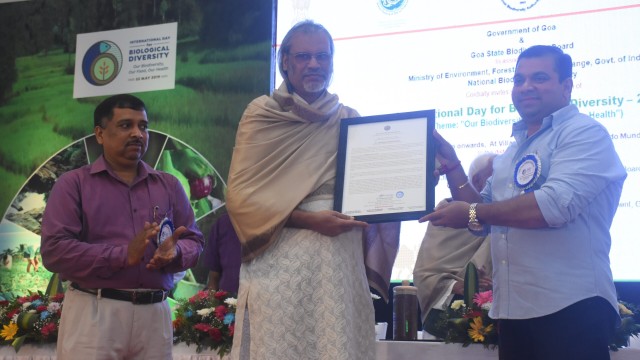 IDB 2019-2020 IDB 2019-2020