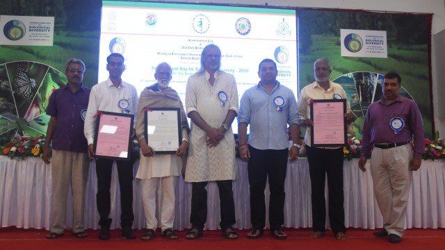 IDB 2019-2020 IDB 2019-2020