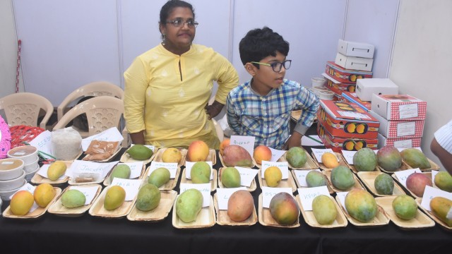 IDB 2019-2020 IDB 2019-2020