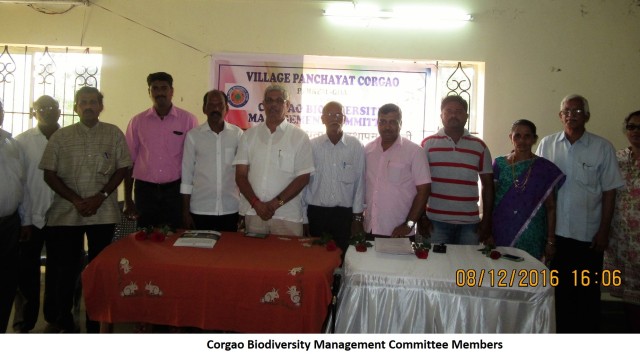 BMC Inauguration BMC Inauguration