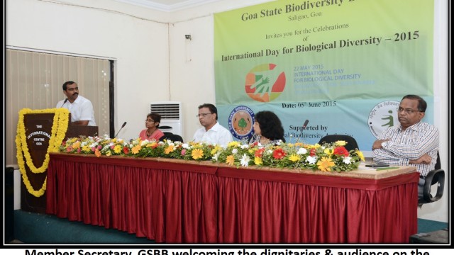 IDB 2015-2016 IDB 2015-2016