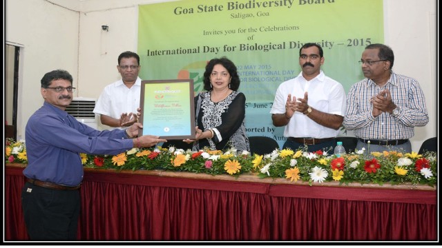 IDB 2015-2016 IDB 2015-2016