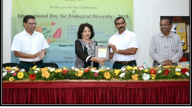 IDB 2015-2016 IDB 2015-2016