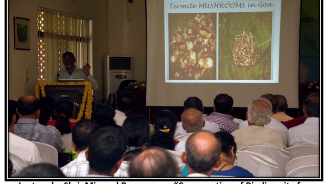 IDB 2015-2016 IDB 2015-2016