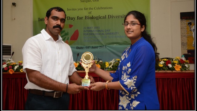 IDB 2015-2016 IDB 2015-2016